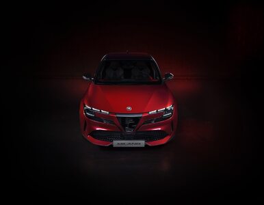 Miniatura: „Polska” Alfa Romeo wyceniona. Ile za...