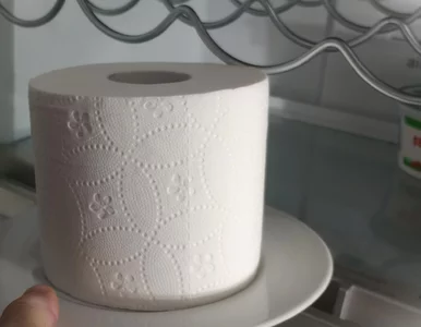 Miniatura: Włóż to do lodówki i zapomnij o brzydkim...