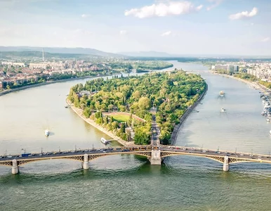 Miniatura: Tajemnica z zakrystii rozwiązana. Tak...