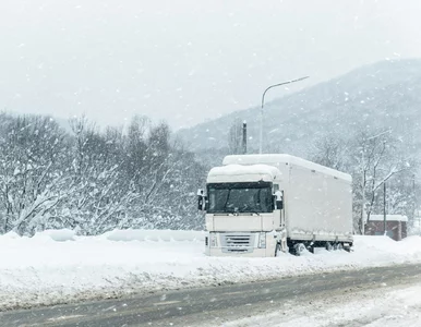 Miniatura: Najpierw siarczysty mróz, potem drastyczna...