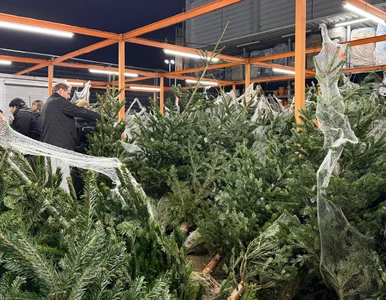 Miniatura: Święta po polsku są tańsze? Czesi...