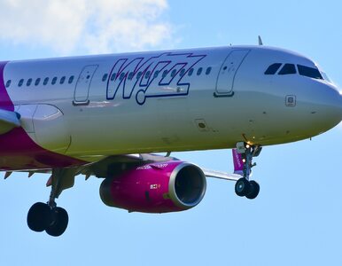 Miniatura: Samolot Wizz Air miał problemy. Musiał...