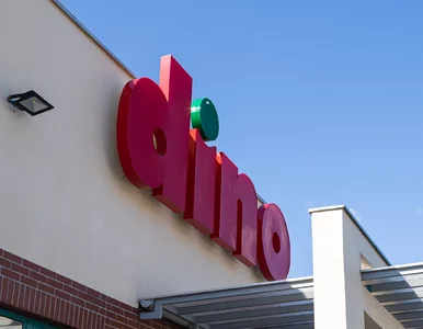 Miniatura: Od dziś w Dino 1+1 gratis i bez limitów....