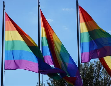 Miniatura: Orzeczenie TK uderzyło w osoby LGBT, rząd...