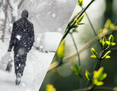 Miniatura: Tu -9, tam 14 stopni. Pogoda w Polsce...