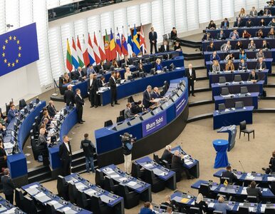 Miniatura: Parlament Europejski za zakazem sprzedaży...