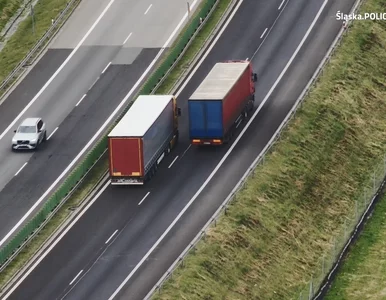 Miniatura: „Wyścigi słoni” trwają. Ale policjanci...