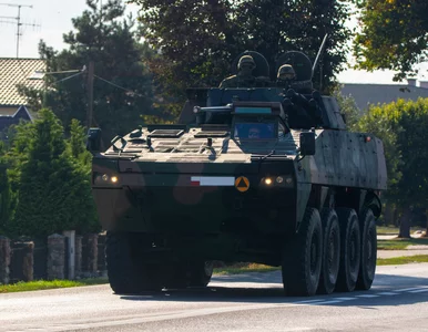 Miniatura: Kolumny wojskowe w całej Polsce. Wojsko...