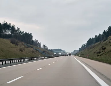 Miniatura: Awaryjne lądowanie samolotu na A1. Służby...