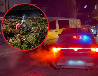 Miniatura: Wstrząsające zabójstwo 11-latki....