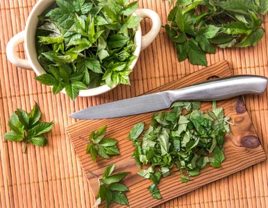 Miniatura: „Kozie stópki” rosną wszędzie. Większość...