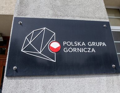 Miniatura: Polska Grupa Górnicza ma nowego prezesa