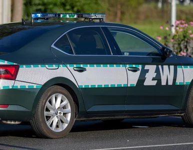 Miniatura: Szpieg w MON. Służby za czasów PiS...