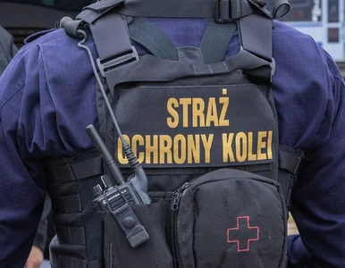 Miniatura: Kradli tabliczki z pociągów PKP i...