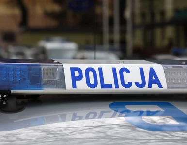 Miniatura: Krótka spódniczka nie zmyliła policjantów....