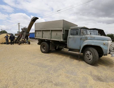 Miniatura: Te owoce i warzywa znikną z importu. Rząd...