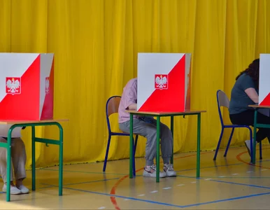 Miniatura: Nieprawidłowości w wyborach. Błędy w ponad...