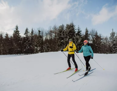 Miniatura: Narty biegowe pod Warszawą. Piękne miejsca...