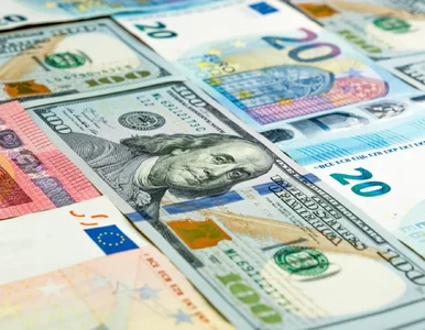 Miniatura: Kursy walut 23 kwietnia 2025. Po ile...