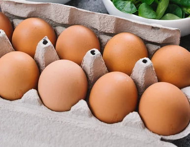 Miniatura: Masz te jajka w lodówce? GIS apeluje: nie...