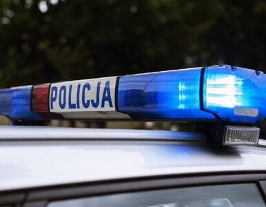 Miniatura: Policjanci z Kielc patrolowali drogę. Ich...