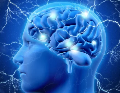 Miniatura: Naukowa Fundacja Polpharmy od ponad 20 lat...