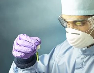 Miniatura: Wirus A/H1N1 już w Polsce