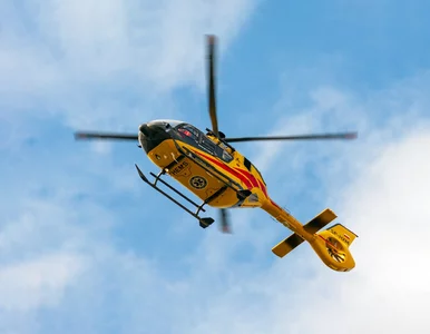 Miniatura: Koszmarny wypadek na A2. 1 osoba nie żyje,...