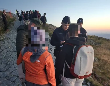 Miniatura: Zastawili pułapki na turystów w górach....