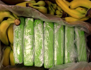 Miniatura: Kokaina w bananach w sklepach popularnej...