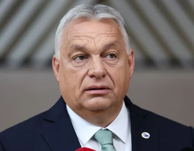 Miniatura: Orbán z międzynarodową posadą? Sikorski...