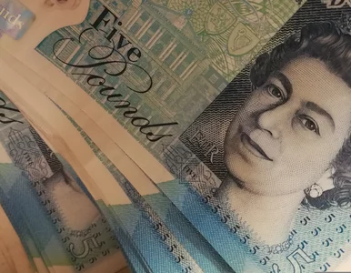 Miniatura: Kursy walut 14 lipca 2025. Po ile dolar,...
