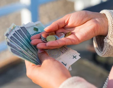 Miniatura: Niepokojące dane o finansach studentów....