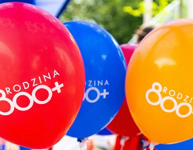 Miniatura: Jest nowy komunikat ws. 800 plus. Chodzi o...
