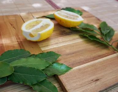 Miniatura: Zostawiłam w sypialni cytrynę z liśćmi...