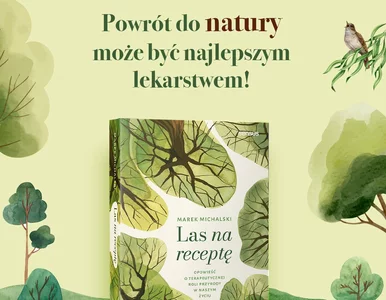Miniatura: Weź leśną kąpiel dla zdrowia!