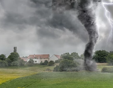 Miniatura: „Polska aleja tornad”. To tutaj bywa...