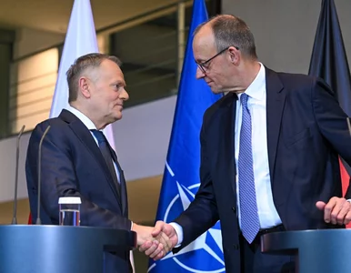 Miniatura: Te słowa Tuska poruszyły Niemcy. Zapadła...