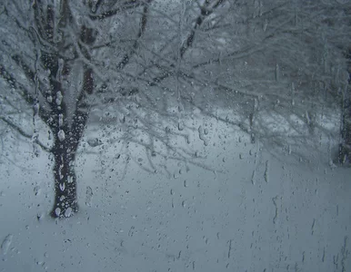 Miniatura: To pierwszy tak zaśnieżony tydzień w...