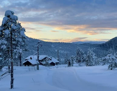 Miniatura: Śnieżyce uderzą w południe kraju. IMGW...