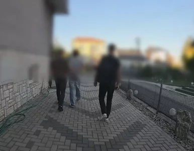 Miniatura: Planował zamach terrorystyczny na...