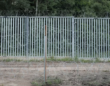 Miniatura: Kolejny incydent na granicy z Białorusią....