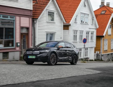 Miniatura: Skoda ujawnia plany na przyszłość. Czechów...