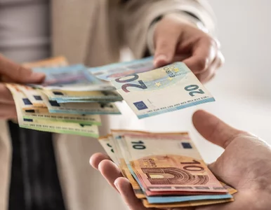 Miniatura: Kursy walut 21 stycznia 2026. Po ile...