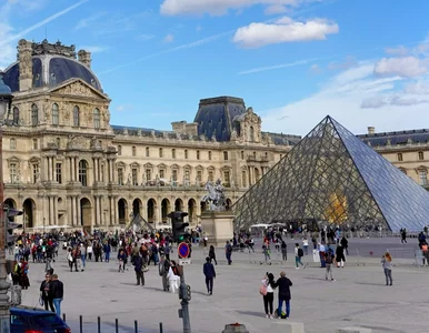 Miniatura: Nowe informacje o złodzieju z Luwru. Jego...