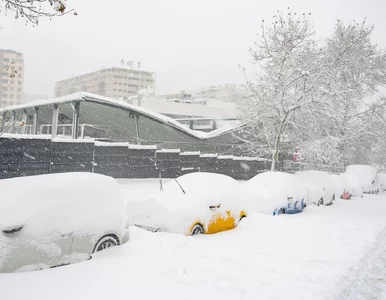 Miniatura: Ambasada Polski w USA ostrzega. „Unikaj...