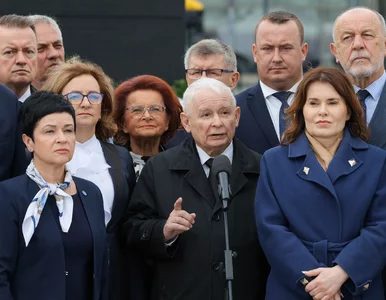 Miniatura: Tym partiom Polacy zarzucają największe...