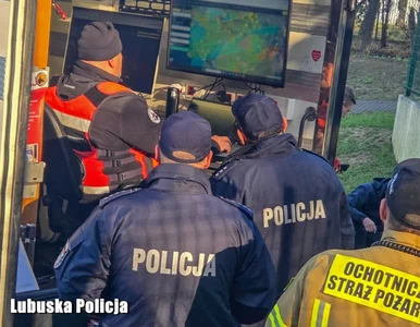 Miniatura: Dziesiątki ludzi, drony i psy tropiące....