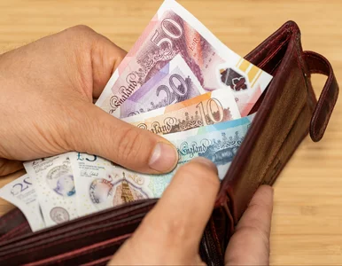 Miniatura: Kursy walut 7 stycznia 2026. Po ile dolar,...