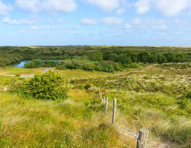 Miniatura: Płatne wejście do lasu i na wydmy? Nowe...